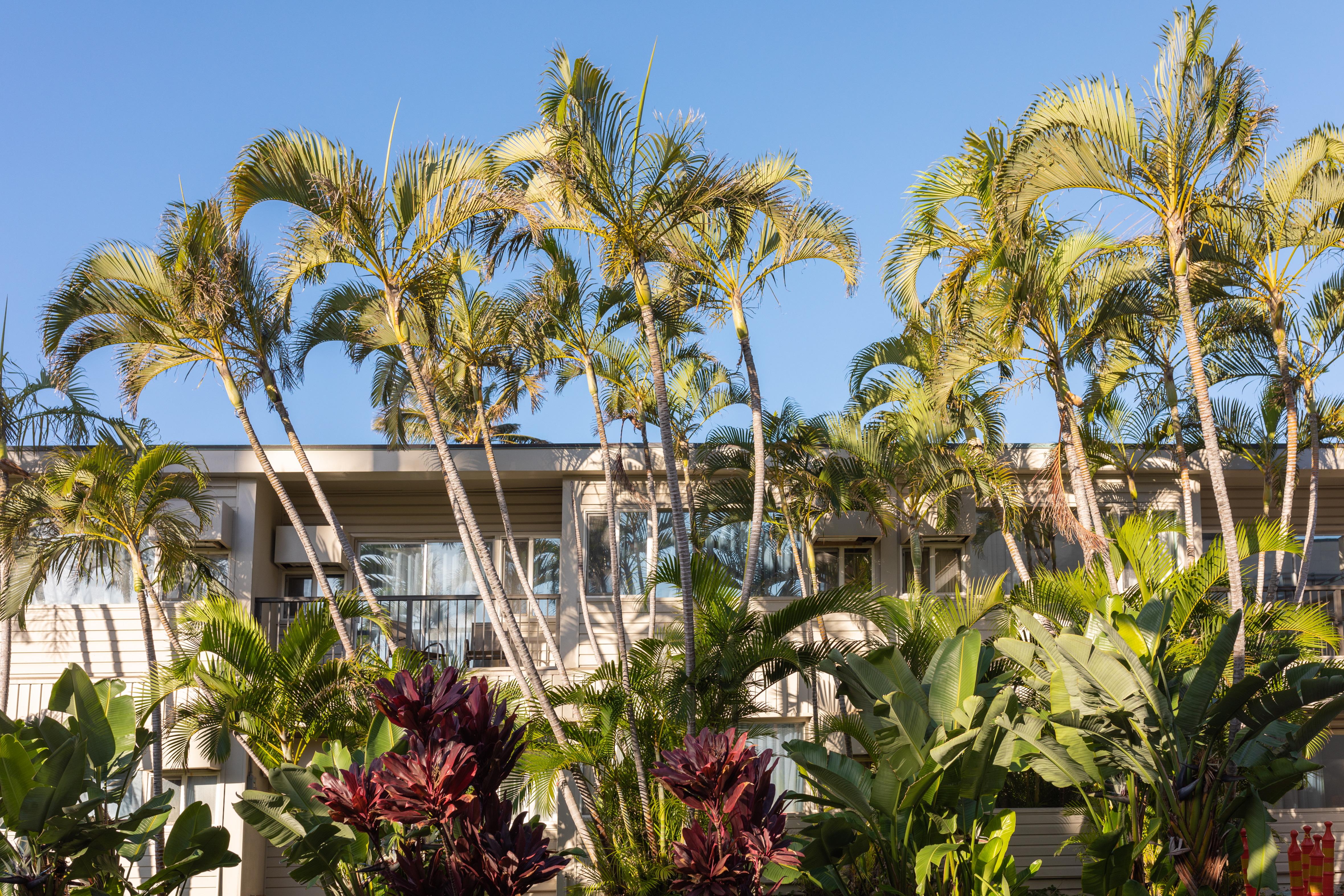 Maui Beach Hotel Καχουλούι Εξωτερικό φωτογραφία